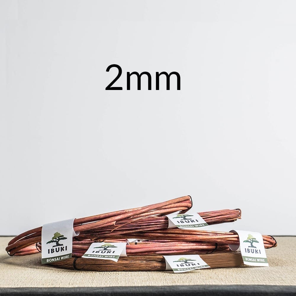 2mm 1 Copper Bonsai Wire 3,0mm 500g   Image of 2mm 1