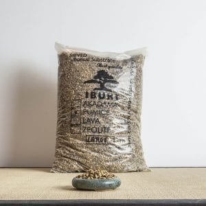 pumice large1 300x300 Cut paste  160 gr  for decidious and smaller bonsai   Image of pumice large1 300x300