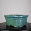 bonsai pot 6 33 Hand made IBUKI bonsai pot by Mariusz Folda. Size: 25 x 21 x 11 cm high.   Image of bonsai pot 6 33