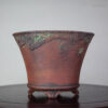 bonsai pot 4 7 Hand made IBUKI bonsai pot by Mariusz Folda. Size: 24 x 18 cm high.   Image of bonsai pot 4 7
