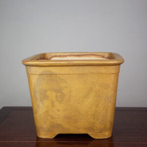 bonsai pot 1 1 300x300 Hand made IBUKI bonsai pot by Mariusz Folda. Size: 48 x 41 x 15,5 cm high.   Image of bonsai pot 1 1 300x300