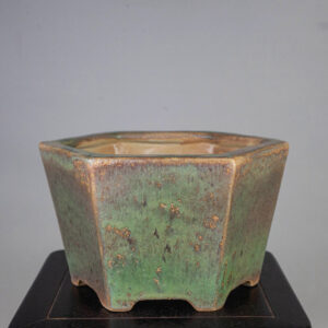 bonsai pot 1 1 300x300 Hand made IBUKI bonsai pots by Mariusz Folda. Price on request.   Image of bonsai pot 1 1 300x300